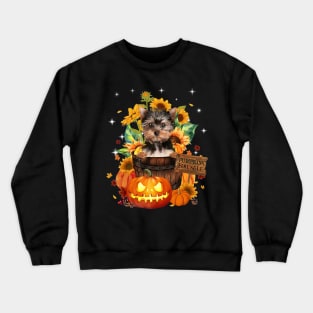 Yorkshier Terrier Halloween Pumpkin Fall Bucket Crewneck Sweatshirt